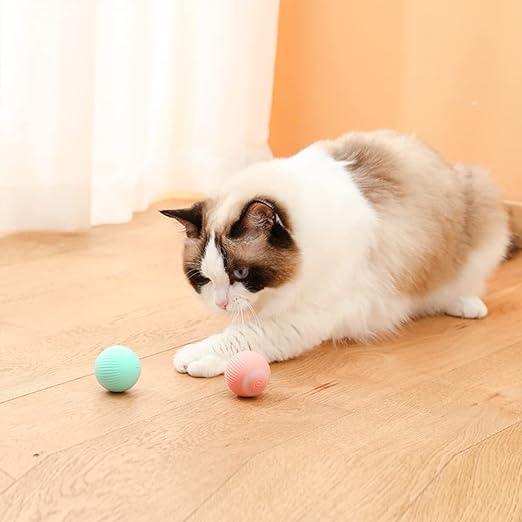 Groundbreaking Smart Magic Ball - Itzmypet