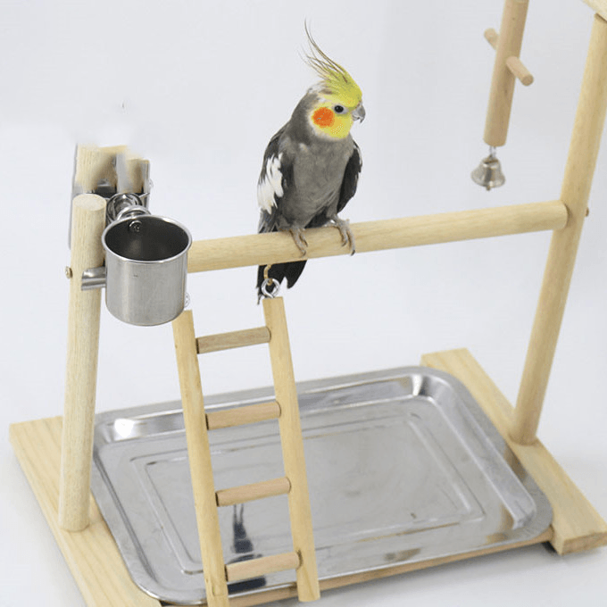 Interactive Wood Stand Play Gym for Small to Medium Birds - Itzmypet