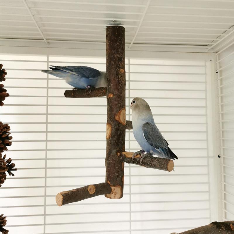 Simple Elegant Apple Wood Parrot Perch Stand - Itzmypet