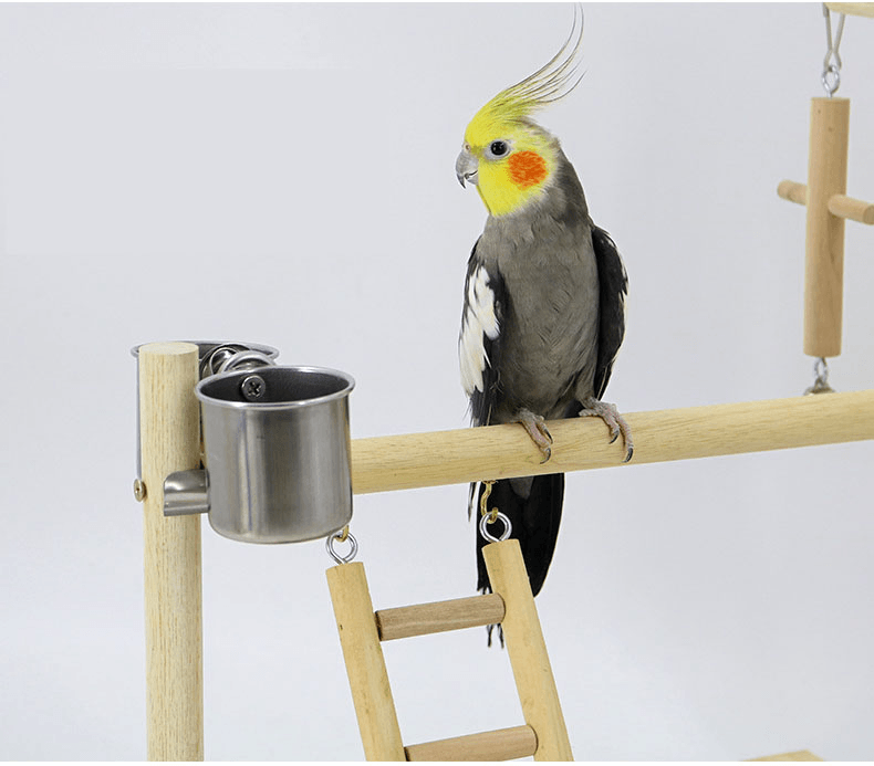 Interactive Wood Stand Play Gym for Small to Medium Birds - Itzmypet