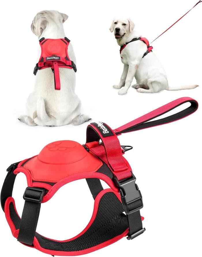 Dog Harness Retractable - Itzmypet