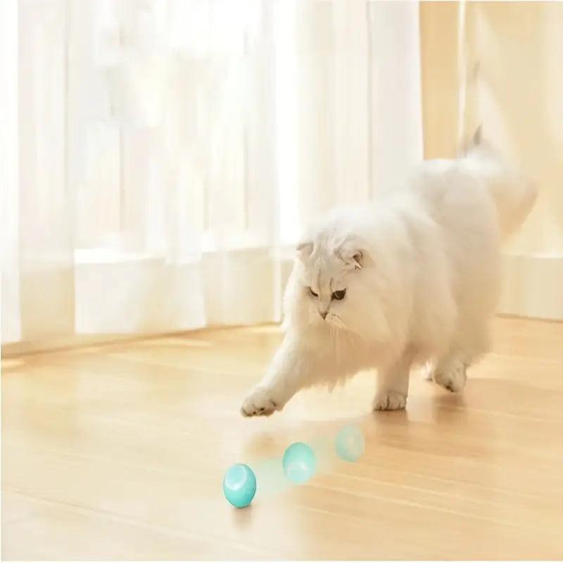 Groundbreaking Smart Magic Ball - Itzmypet