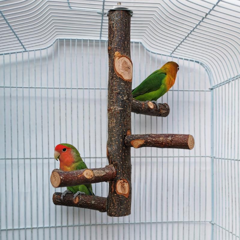 Simple Elegant Apple Wood Parrot Perch Stand - Itzmypet