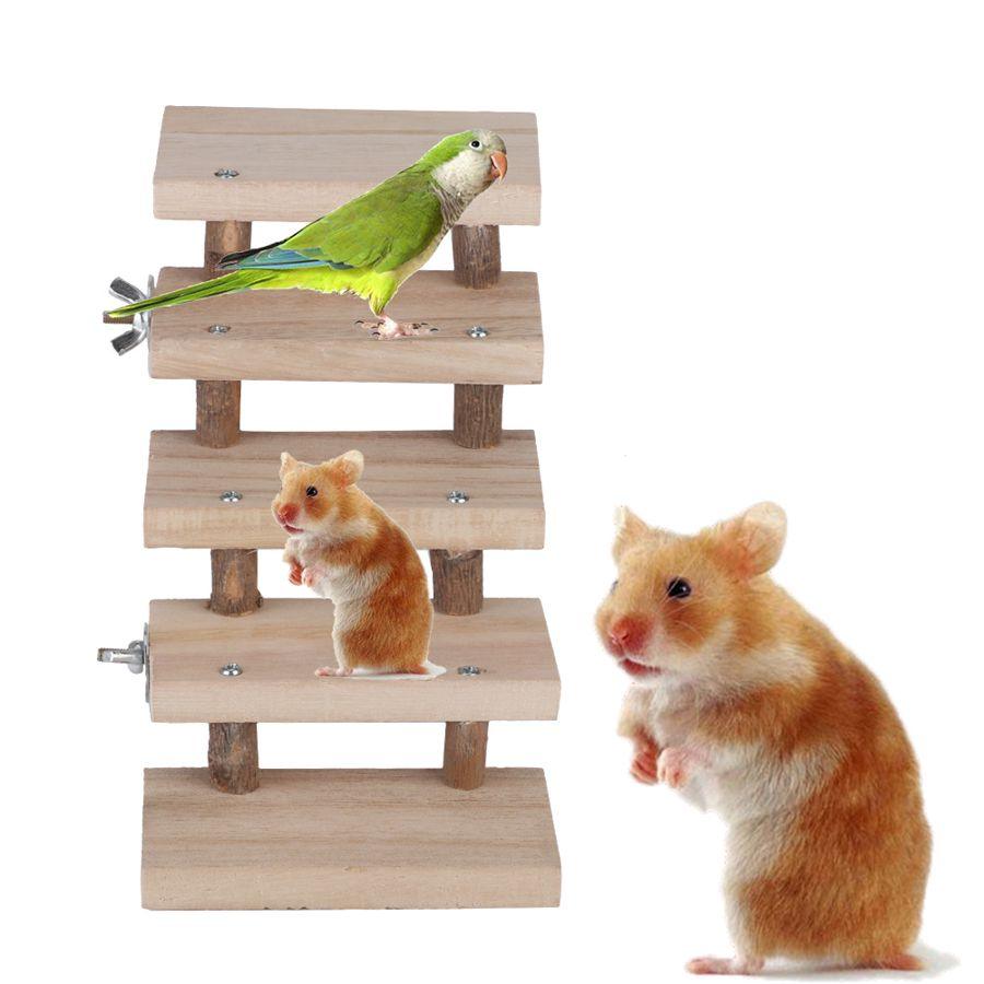 Log stairs bird toy - Itzmypet