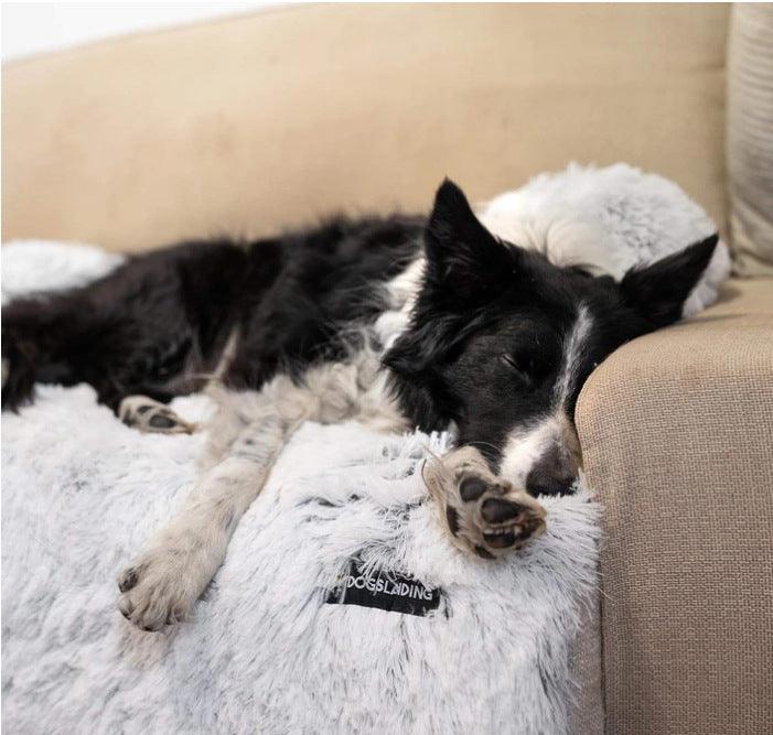 Comfy Pet Haven: Deluxe Restful Cushion for Pets - Itzmypet