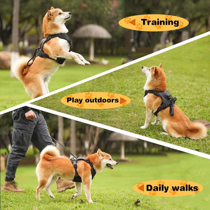 Dog Harness Retractable - Itzmypet