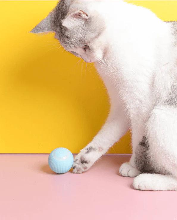 Groundbreaking Smart Magic Ball - Itzmypet