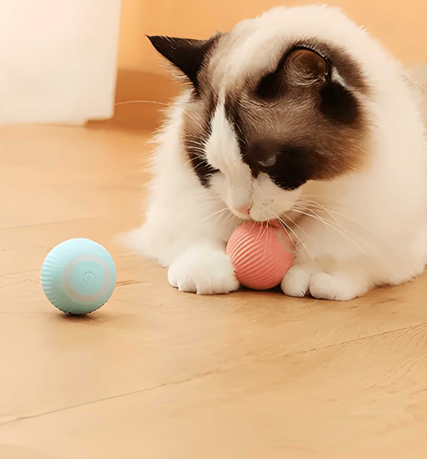 Groundbreaking Smart Magic Ball - Itzmypet