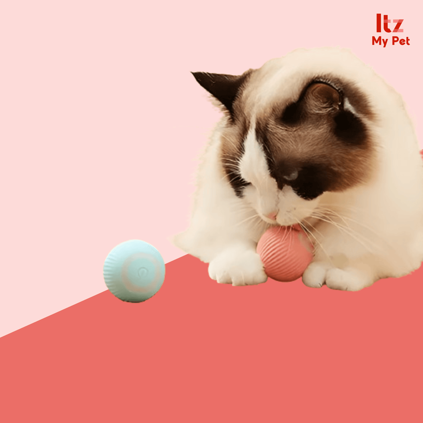 Groundbreaking Smart Magic Ball - Itzmypet