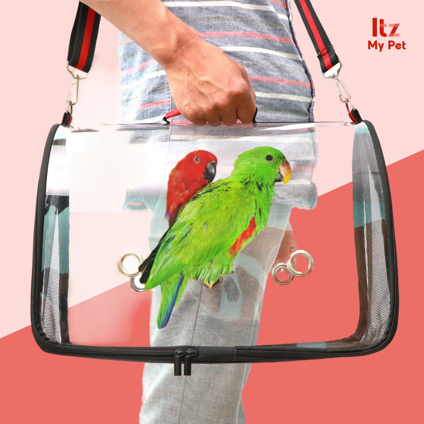 Clear Travel Bird Carrier with Mesh - Itzmypet