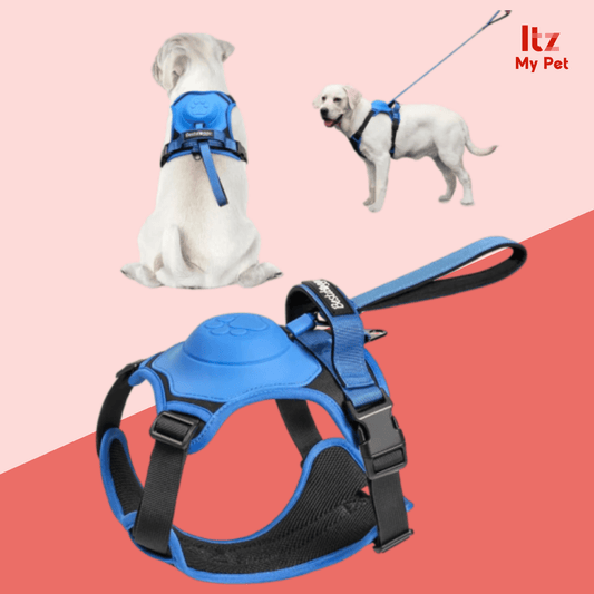 Dog Harness Retractable - Itzmypet