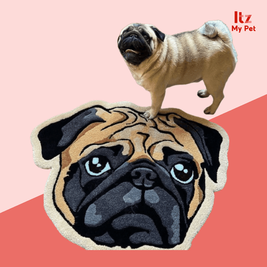 Deluxe Flocking Cartoon Pet Rug - Itzmypet