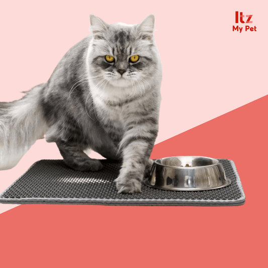 Chic Comfort: Deluxe Anti-Splash Cat Litter Mat - Itzmypet