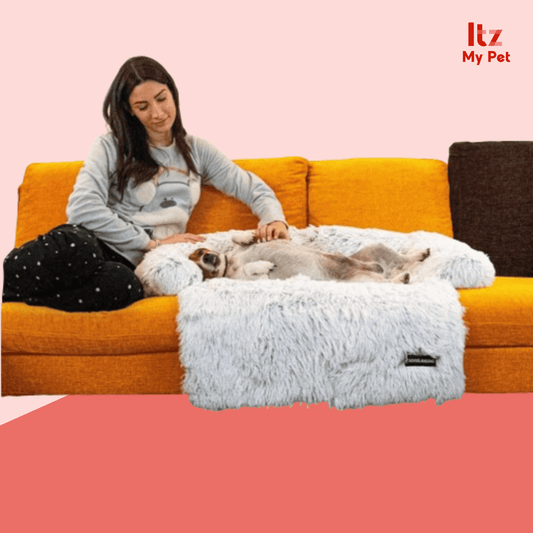 Comfy Pet Haven: Deluxe Restful Cushion for Pets - Itzmypet