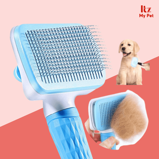 Pet Grooming Self-Cleaning Comb - Itzmypet