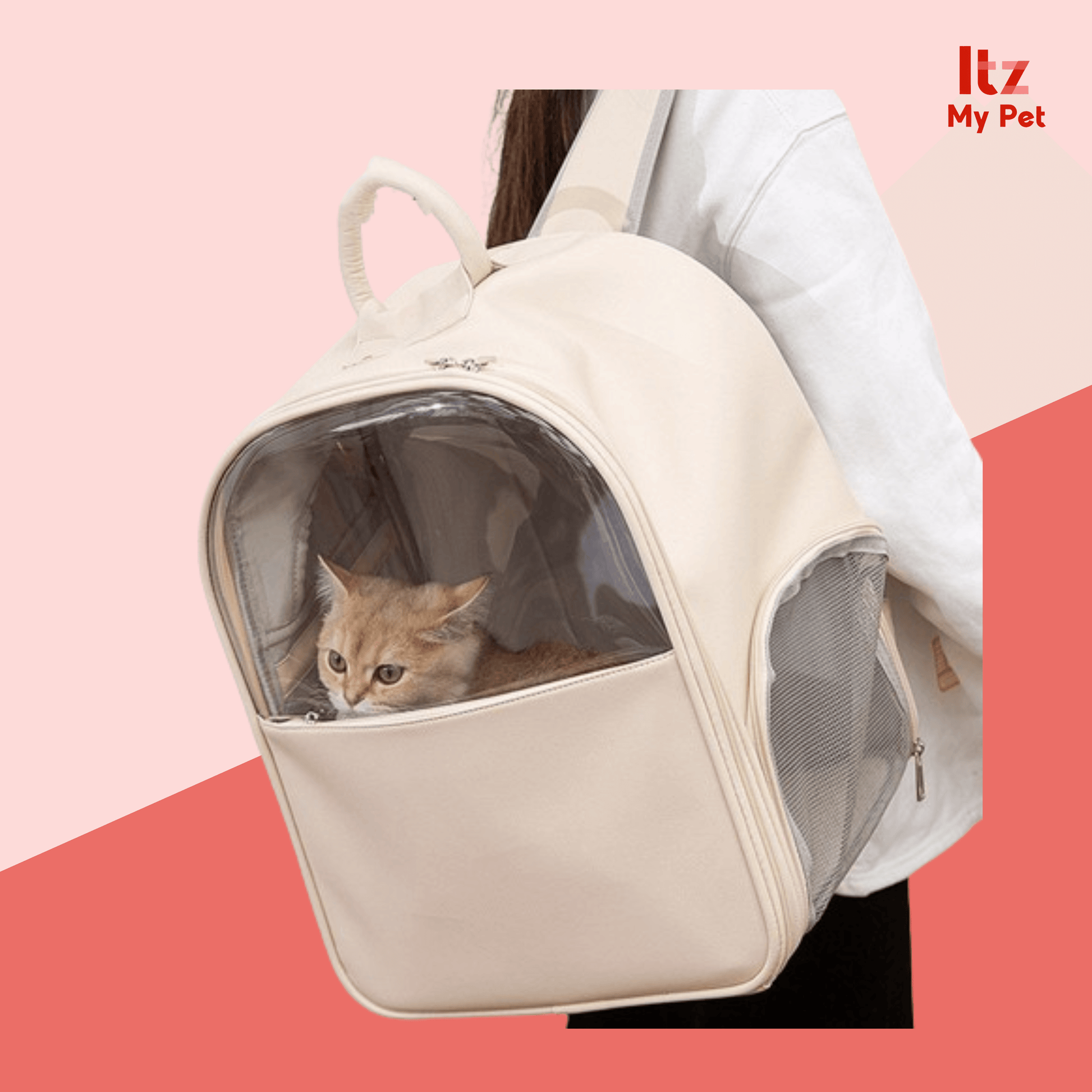 Cat Backpack Large Space Visible Transparent - Itzmypet