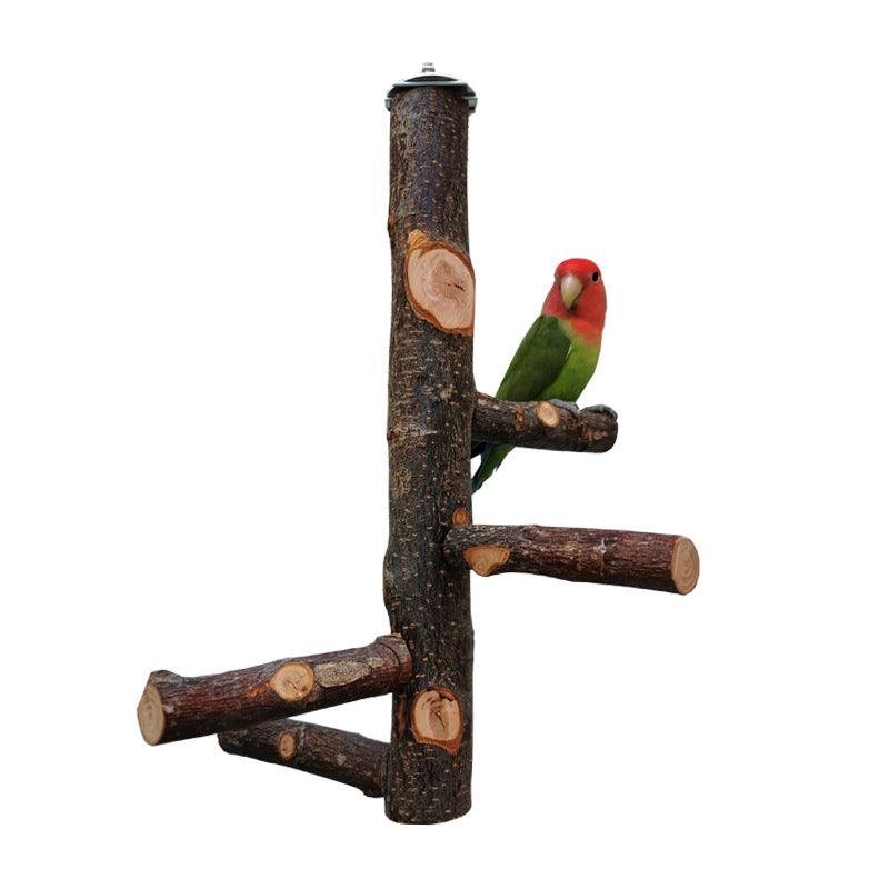 Simple Elegant Apple Wood Parrot Perch Stand - Itzmypet