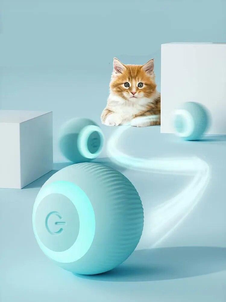 Groundbreaking Smart Magic Ball - Itzmypet