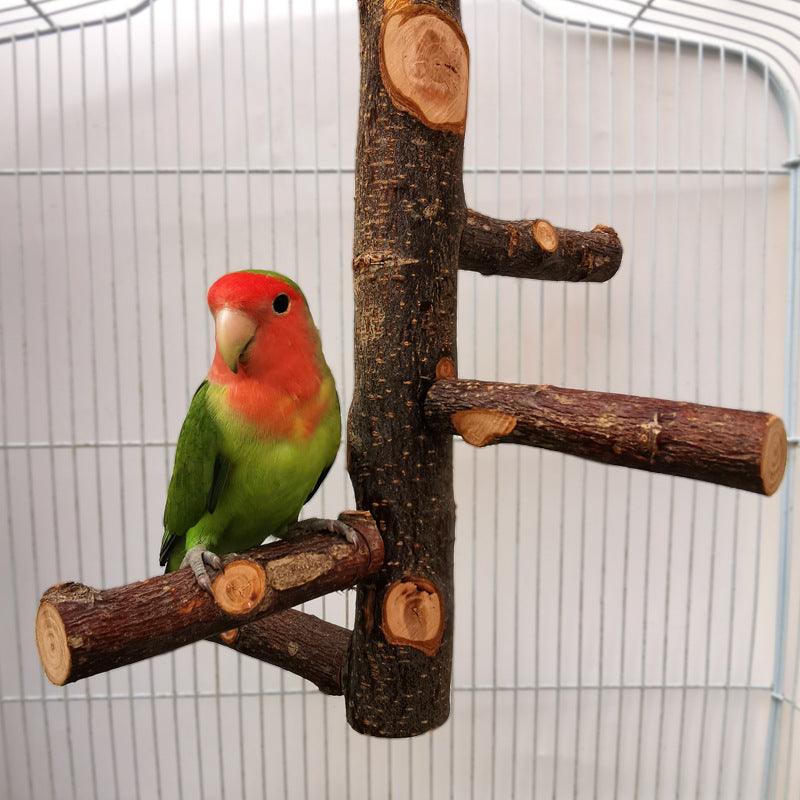 Simple Elegant Apple Wood Parrot Perch Stand - Itzmypet