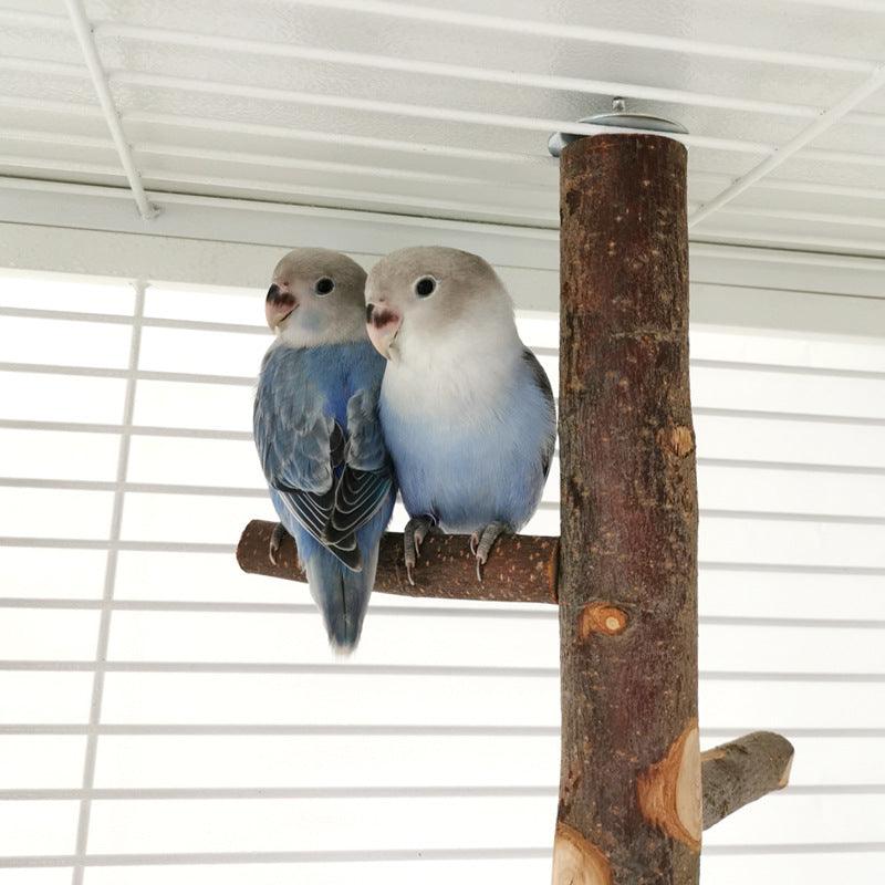 Simple Elegant Apple Wood Parrot Perch Stand - Itzmypet