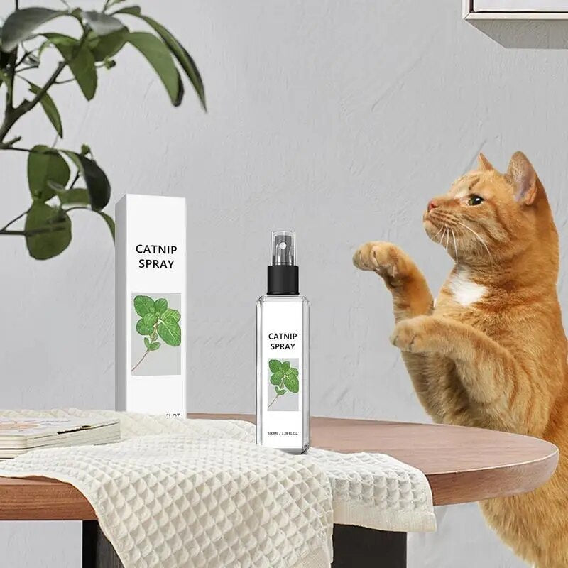 Catnip Joy Mist Spray